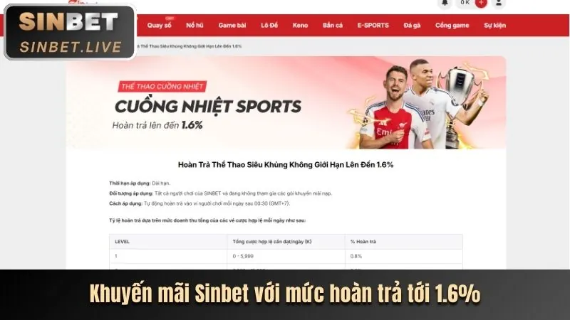 Hoàn trả cược thua BetVip